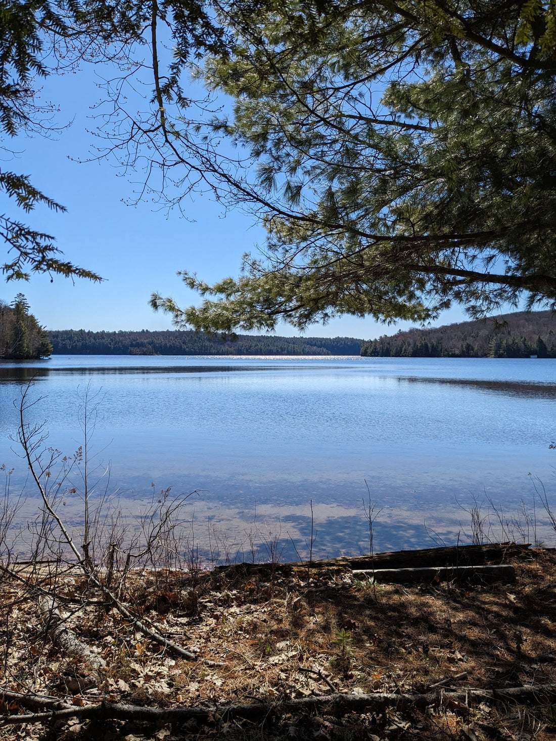 Small Town Natural: Where to hike in Haliburton County, ON, Canada (Part 5: Frost Centre))