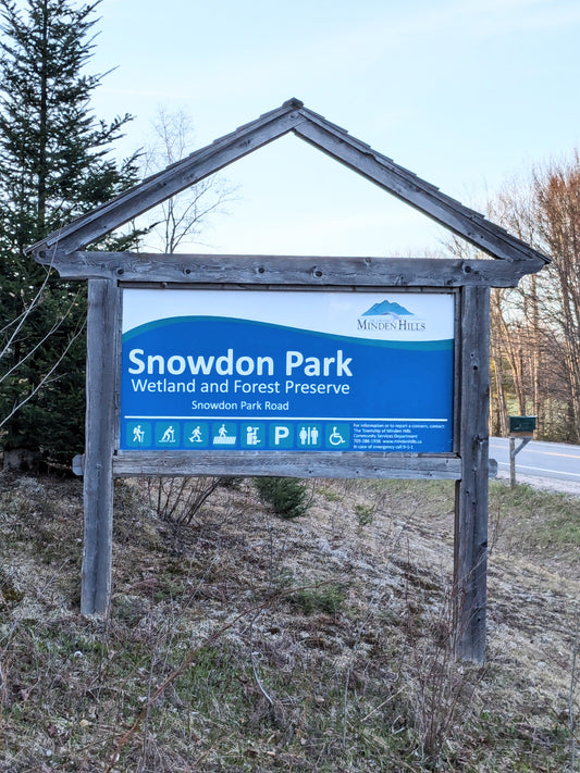 Small Town Natural: Where to hike in Haliburton Highlands, ON, Canada (Part 3: Snowdon Park)